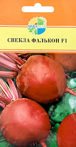 Свекла_Фалькон F1_1_г._Акварель