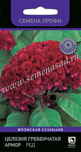 Целозия_Армор Ред (гребенчатая)_15_шт._Поиск