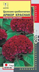Целозия_Армор (красная гребенчатая)_10_шт._Плазменные семена