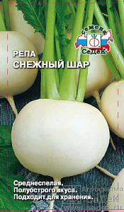 Репа_Снежный шар_1_г._Седек
