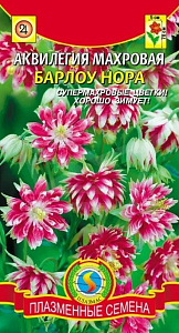 Аквилегия (водосбор)_Нора Барлоу (махровая)_0,04_шт._Плазменные семена