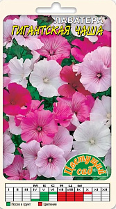 Лаватера (хатьма)_Гигантская чаша см_0,04_г._Цветущий Сад