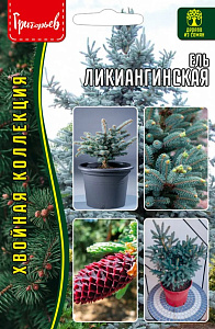 Ель_Ликиангинская б/ф_15_шт._Григорьев