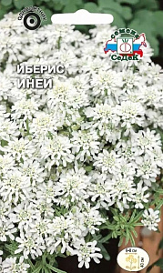 Иберис_Иней (зонтичный, белоснежный)_0,5_г._Седек