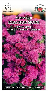 Агератум_Красное Море_0,1_г._Золотая Сотка Алтая