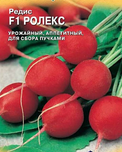 Редис_Ролекс F1 (Бейо)_0,5_г._Акварель