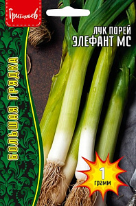 Лук_Элефант МС порей б/ф_1_г._Григорьев