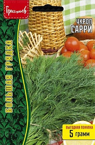 Укроп_Сарри б/ф_5_г._Григорьев