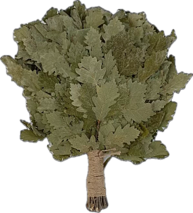 Веник КАВКАЗКИЙ КОМПАКТ+ручка джут