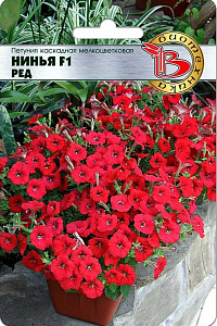 Петуния_Нинья F1 Ред многоцв (каскад)_5_шт._Биотехника