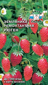 Земляника_Рюген_0_г._Седек