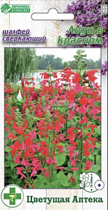 Сальвия (шалфей)_Леди в Красном (Цветущая Аптека)_0,04_г._ЕВРОСЕМЕНА