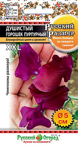 Горошек_Русский размер пурпурный_6_шт._НК