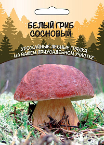 Мицелий_Белый Гриб Сосновый_30_мл._Уральский Дачник