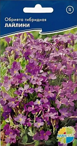 Обриета (аубреция)_Лайлини_0,1_г._Акварель