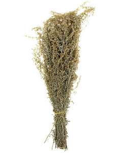 Трава-запарник ПОЛЫНЬ  XXL