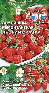 Земляника_Лесная Сказка_0_г._Седек