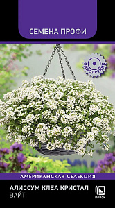 Алиссум (лобулярия)_Клеа Кристал Вайт (профи) (амп)_20_шт._Поиск