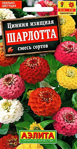 Цинния_Шарлотта см_0,3_г._Аэлита