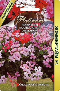 Герань (Пеларгония)_Зоммертайм F1 (амп плющелистная)_5_шт._Биотехника