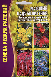 Магония_Падуболистная б/ф_10_шт._Григорьев