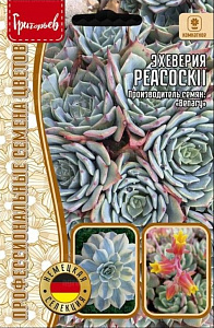 Эхеверия (толстянка)_Пекокка (Peacockii) б/ф_20_шт._Григорьев