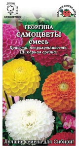 Георгин_Шаровидная см Самоцветы_0,04_г._Золотая Сотка Алтая