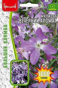 Маттиола_Вечерний аромат б/ф_1000_шт._Григорьев
