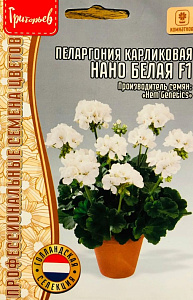 Герань (Пеларгония)_Нано F1 Белая (карликовая) б/ф_3_шт._Григорьев