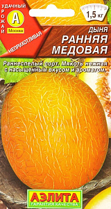 Дыня_Раняя Медовая_1_г._Аэлита