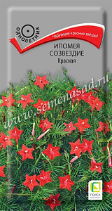 Ипомея_Созвездие Красная_0,3_г._Поиск