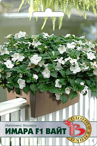 Бальзамин_Валлера Имара F1 Вайт_0,04_шт._Биотехника