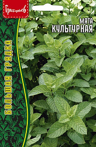 Мята_Культурная б/ф_0,05_г._Григорьев