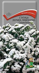 Статица (лимониум)_Суприм белая_0,2_г._Поиск