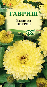Календула (ноготки)_Цитрон махр_0,04_г._Гавриш