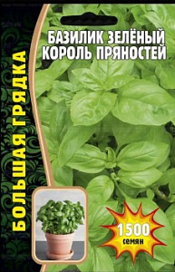 Базилик_Король Пряностей б/ф_1500_шт._Григорьев