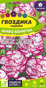 Гвоздика_Шабо Бенигна (садовая)_0,04_г._Семена Алтая
