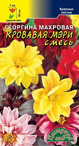 Георгин_Кровавая Мэри_0,2_г._Цветущий Сад