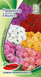 Примула_махр 8 Марта см F1_5_шт._Премиум Сидс