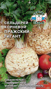 Сельдерей_Пражский гигант (корневой)_0,5_г._Седек