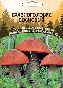 Мицелий_Красноголовик Сосновый б/ф_30_мл._Уральский Дачник