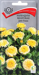 Календула (ноготки)_Дабл Лемон_0,1_г._Поиск