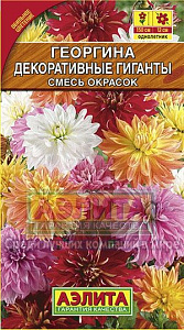 Георгин_Декоративные гиганты см_0,2_г._Аэлита