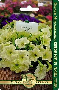 Петуния_Дебонэйр F1 Лайм Грин (многоцветковая)_6_шт._Биотехника