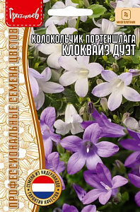 Колокольчик_Клоквайз Дуэт (Clockwise White Blush, Compact Deep Blue) б/ф_4_шт._Григорьев