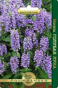 Котовник (непета)_Голубая Луна_8_шт._Биотехника