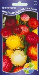 Гелихризум (бессмертник)_Швейцарские Великаны см_0,1_г._Акварель