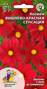 Космея_Вишнёво-Красная_0,15_г._Уральский Дачник
