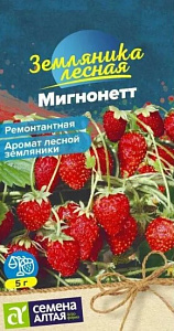 Земляника_Мигнонетт (ремонтантная)_5_шт._Семена Алтая