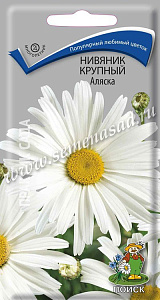 Нивяник_Аляска_0,5_г._Поиск